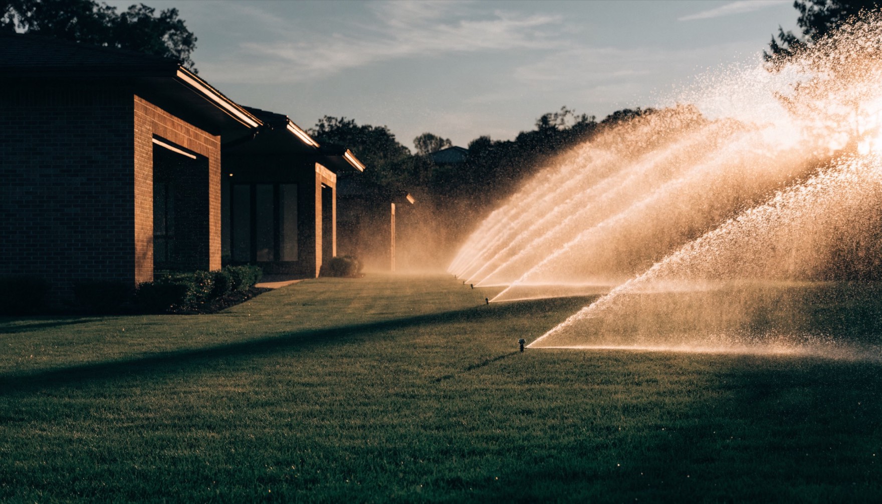 Sprinklers arcing across a manicured lawn beside a brick home in golden-hour light